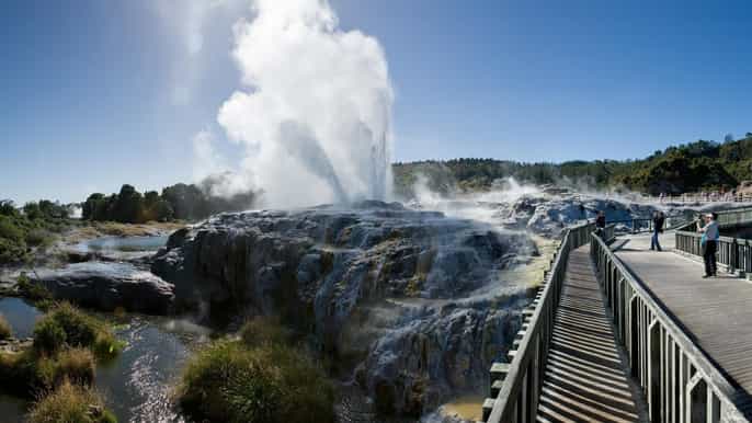 waitomo and rotorua 2day tour from auckland