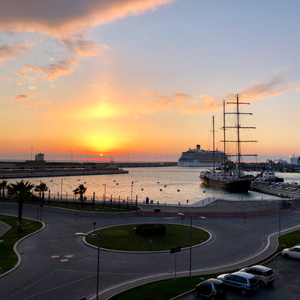 Hafen Civitavecchia: Private oder geteilte geführte Tour durch Rom