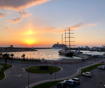Civitavecchia haven: Privé of gedeelde rondleiding door Rome
