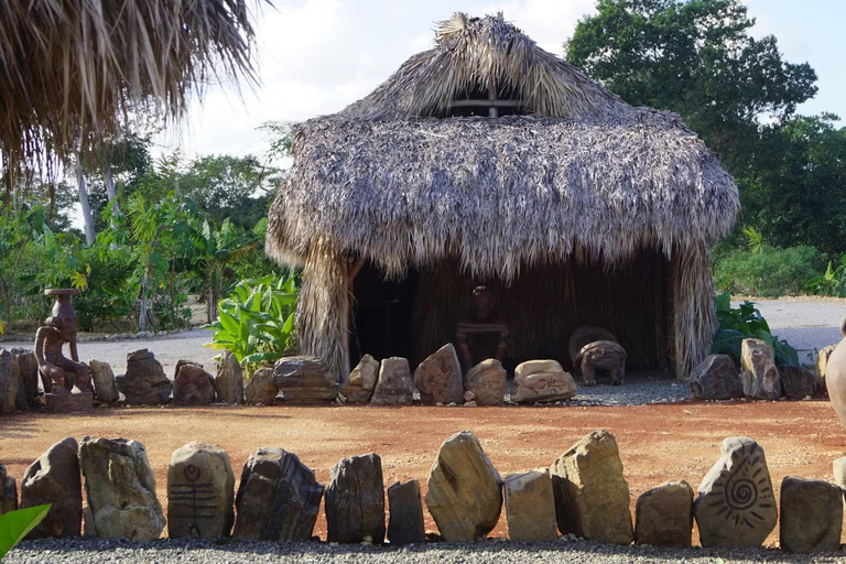 Punta Cana: Domitai Park Zipline, Buggy & Cenote Tour