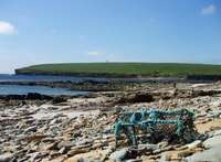 From Edinburgh, Orkney and The Far North 5-Day Tour - Housity