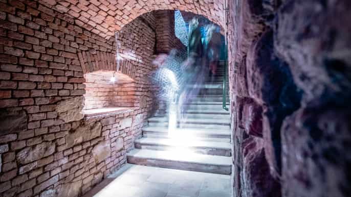 vienna degustazione di vini in una storica cantina romana