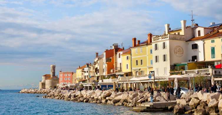 From Koper Piran and Panoramic Slovenian Coast Tour GetYourGuide
