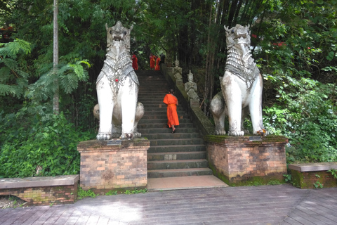 Depuis Chiang Mai : parc national de Doi Pui en 6 h