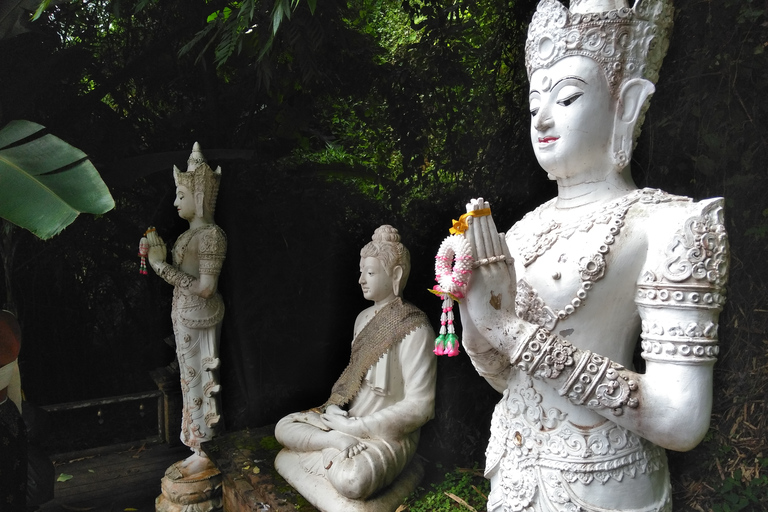 Chiang Mai: 7-timmars toppvandring i Doi Suthep nationalpark