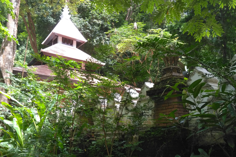 Chiang Mai: senderismo de 6 h por el Parque Nacional Doi Pui