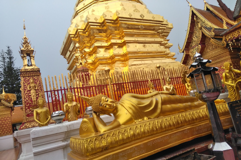 Chiang Mai: 7-Hour Doi Suthep National Park Summit Hiking