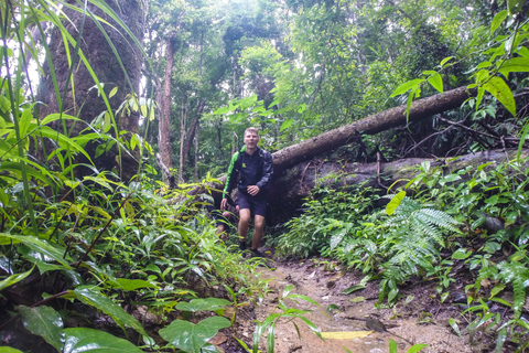 Chiang Mai: wandeling van 6 uur naar de top van Doi Pui