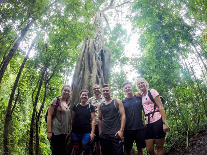 Chiang Mai: 6-Hour Doi Pui National Park Summit Hike