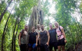 Chiang Mai: 6-Hour Doi Pui National Park Summit Hike