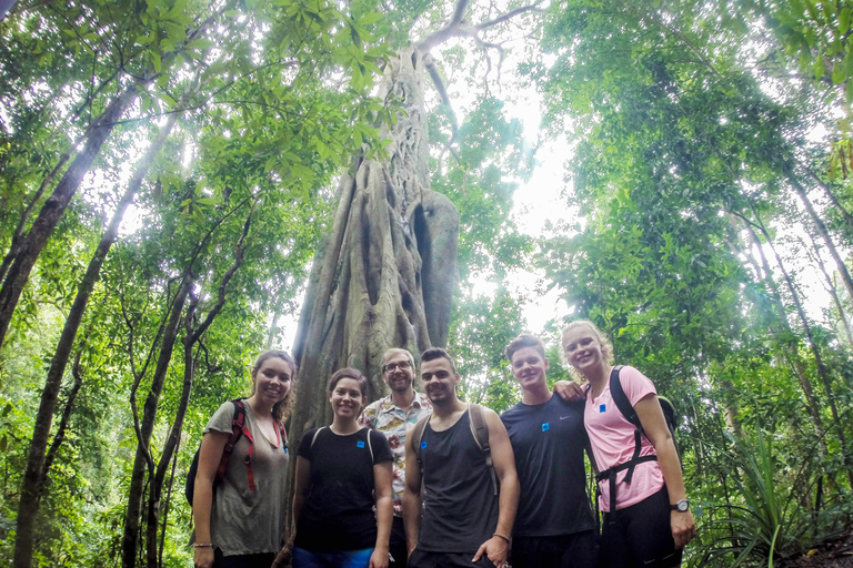 Chiang Mai: escursione in vetta al Parco Nazionale Doi Suthep di 7 ore