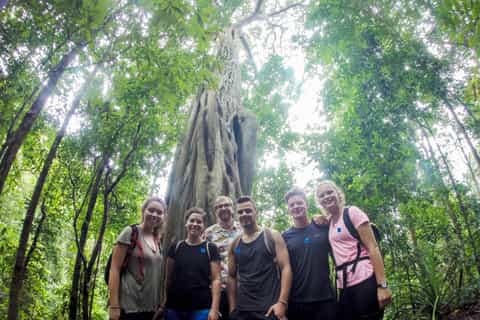 chiang mai 6hour doi pui national park summit hike