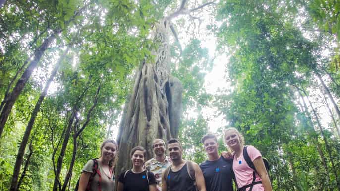 chiang mai 6hour doi pui national park summit hike
