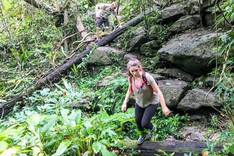 Chiang Mai: Caminhada de 7 horas no topo do Parque Nacional Doi Suthep