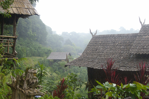 Depuis Chiang Mai : parc national de Doi Pui en 6 h