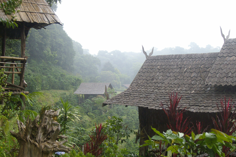 Chiang Mai: wandeling van 6 uur naar de top van Doi Pui