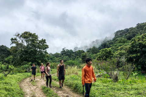 Depuis Chiang Mai : parc national de Doi Pui en 6 h