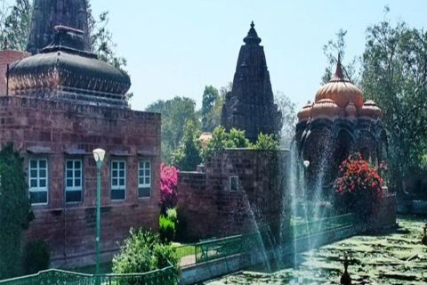 Tour privato: Jodhpur, Mandore Gardens e pranzo