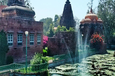 Private Tour: Jodhpur, Mandore Gardens & Lunch