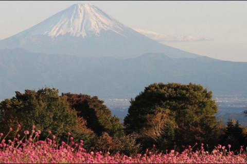 Från Tokyo: Fuji-berget eller Hakone Sightseeing Privat dagstur