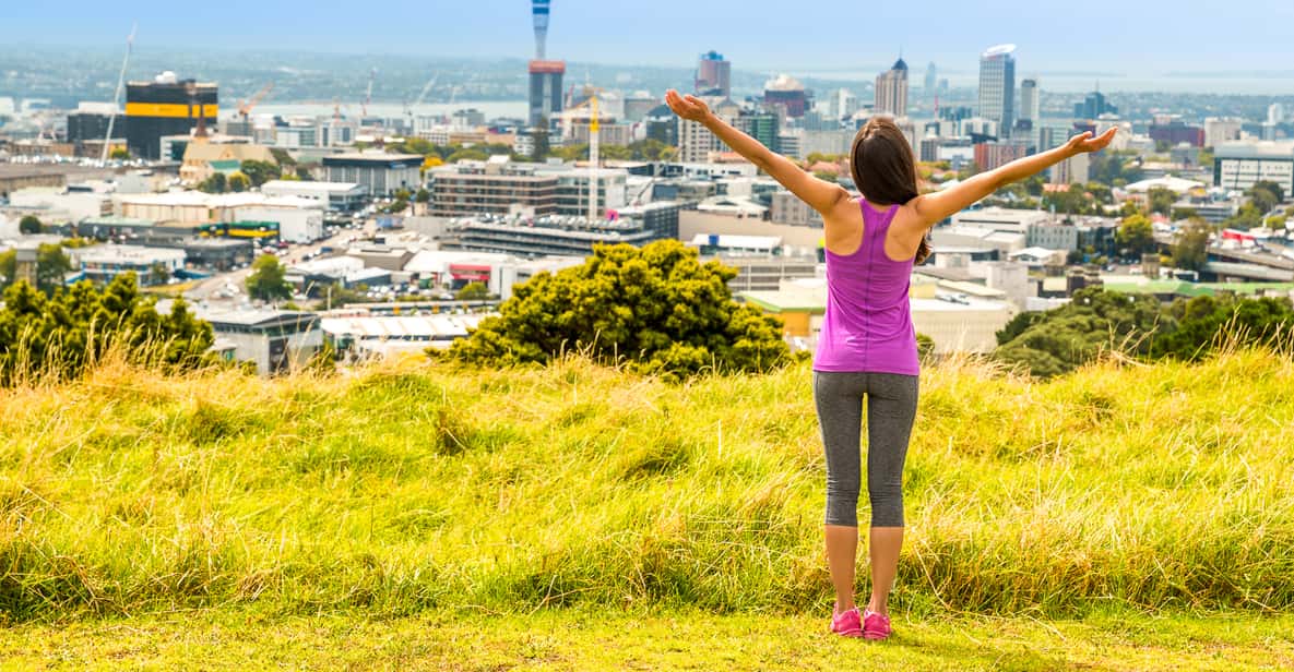 Auckland City Express Tour: 3-Hour Kiwi Experience