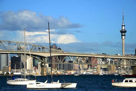 Auckland City Express Tour: 3-Hour Kiwi Experience