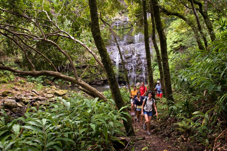 Big Island: Ganztägige Abenteuertour mit Kohala-WasserfällenGruppentour