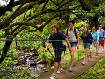 Big Island: Tages-Abenteuer mit Kohala-Wasserfälle. Foto: GetYourGuide Big Island: Tages-Abenteuer mit Kohala-Wasserfälle. Foto: GetYourGuide