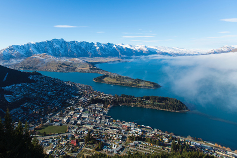 Skyline Queenstown Gondola with Lunch or Dinner Gondola with Dinner