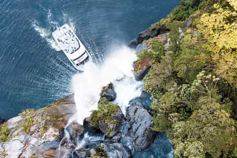Milford Sound: Nature Cruise with Picnic Lunch