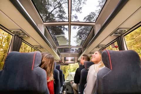 From Queenstown: Milford Sound Full-Day Trip by Bus & Boat