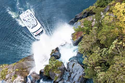 From Queenstown: Milford Sound Full-Day Trip by Bus & Boat