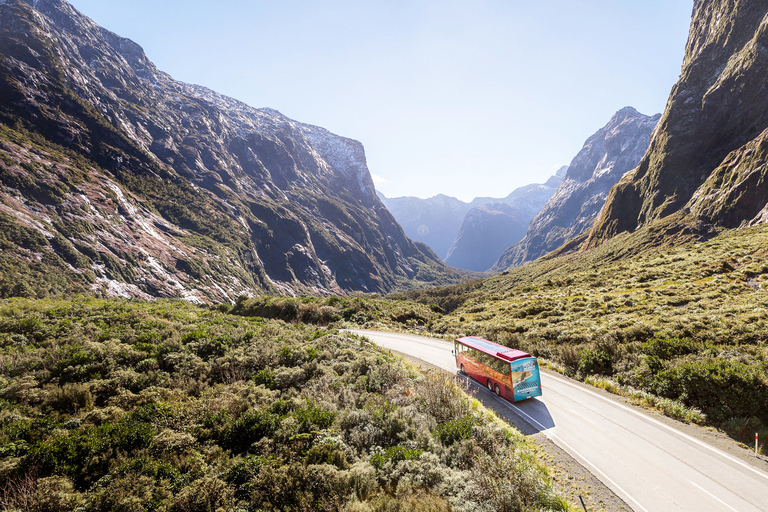 Desde Queenstown: Excursión de un día a Milford Sound