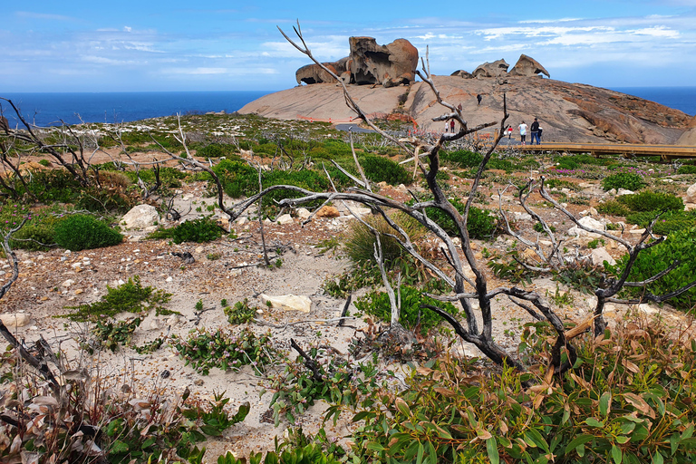 Adelaide: 2-Day Kangaroo Island Tour with Meals & Hotel