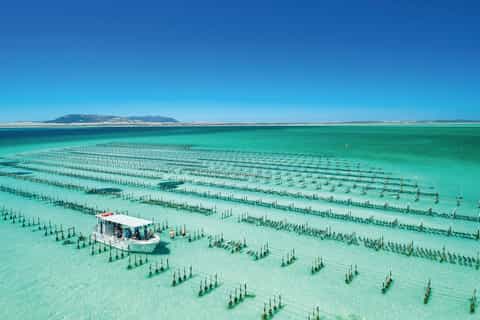 Coffin Bay: 1-Day Seafood, Wine and Nature Tour