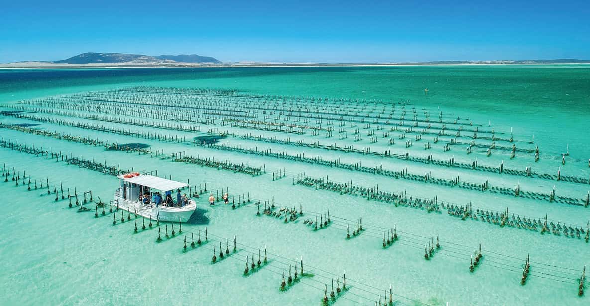 Coffin Bay: 1-Day Seafood, Wine and Nature Tour
