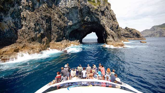 auckland 2 tage tour zur bay of islands hobbiton waitomo
