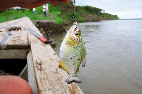 1D Abenteuer in Pacaya Samiria: Piranha-Fischen