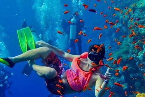 Zanzibar: Safari Blue Lagoon Tour with Snorkeling and Lunch