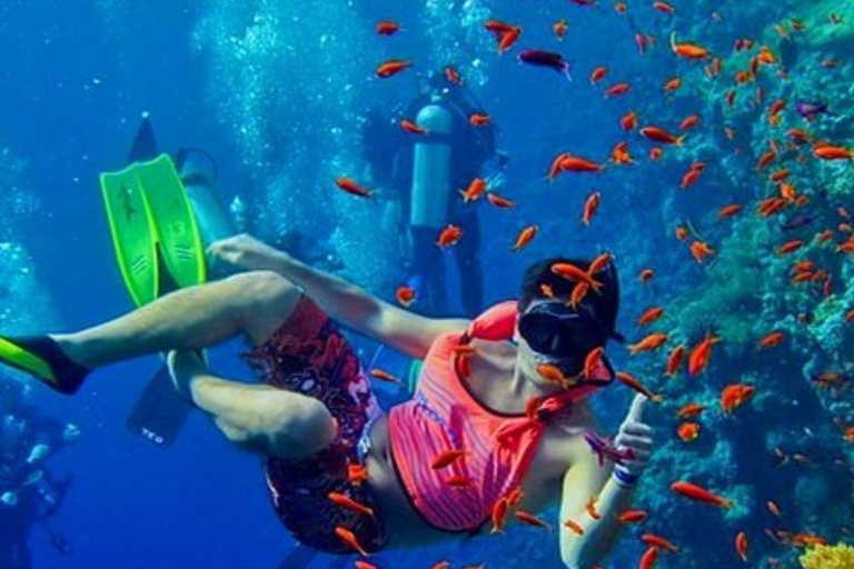 Zanzibar: Safari Blue Lagoon Tour with Snorkeling and Lunch