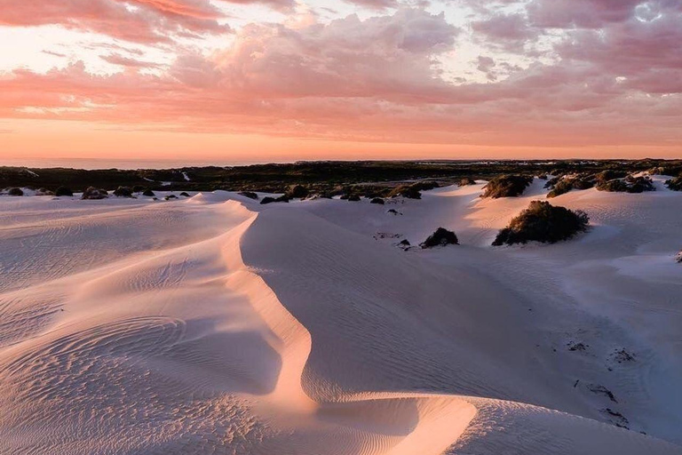 Perth: Pinnacles Desert, Yanchep & Lancelin Private Tour