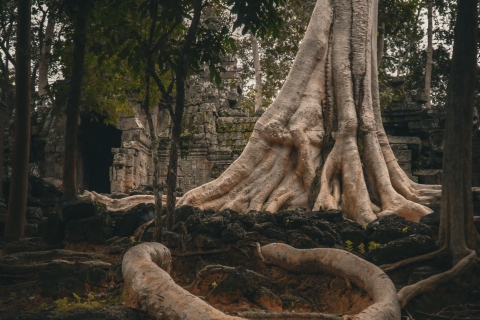 Spersonalizowany Angkor Wat Sunrise by Mountain Bikes