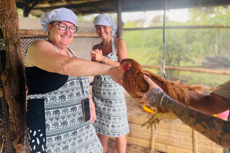 Chiang Mai: Elephant Sanctuary & Thai Cooking Workshop Meeting Point In Town