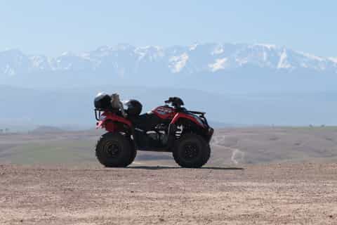 Marrakech Quad Bike Experience: Desert and Palmeraie