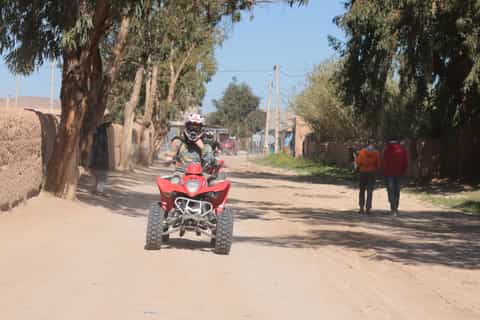 Marrakech Quad Bike Experience: Desert and Palmeraie