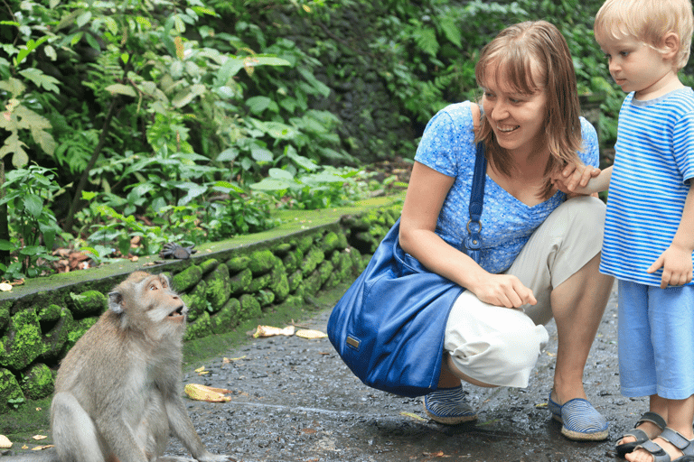 Bali: Ubud Rice Terraces, Monkey Forest & Waterfall Tour Full Package: All entry fees & lunch included