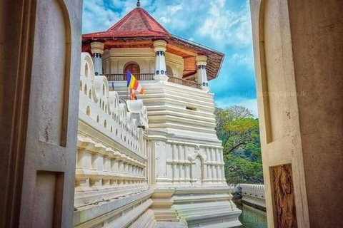 Kandy: Temple of Tooth, Train Ride, & Cave Waterfall Tour