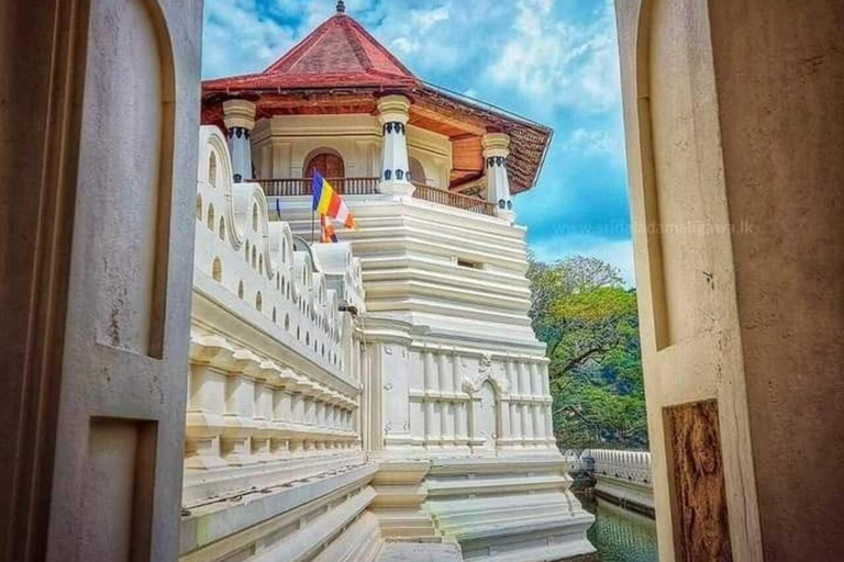 Kandy: Temple of Tooth, Train Ride, & Cave Waterfall Tour