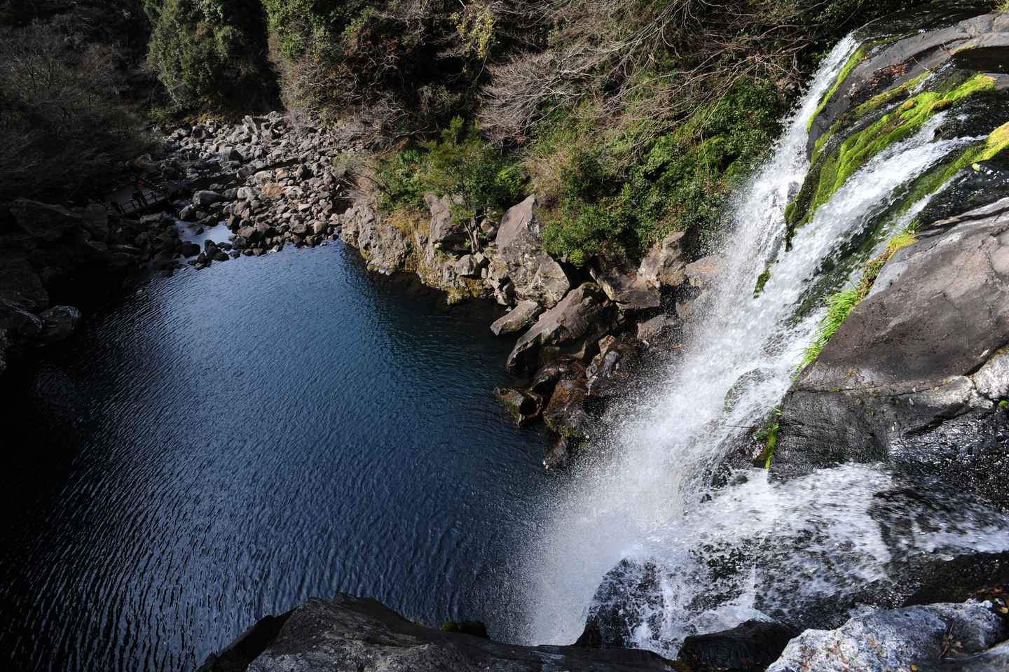drop by the beautiful jeju island