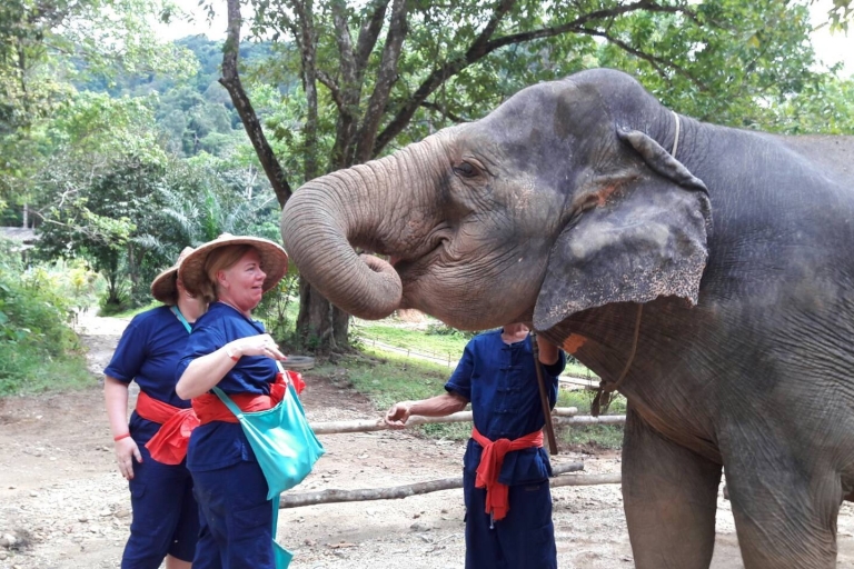 Cuidado de elefantes con Rafting 5 km.Desde Phuket: Experiencia de Cuidado de Elefantes con Rafting 5KM